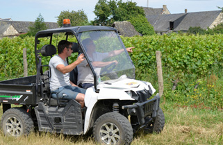 [NICOLAS GROSBOIS ET XAVIER AMIRAULT DANS LES VIGNES FAMILLE AMIRAULT GROSBOIS] 